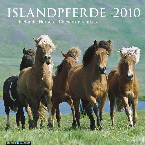 Beispielbild fr Islandpferde 2010: Chevaux islandais; Icelandic Horses. Kalendarium dtsch.-engl.-franzs. zum Verkauf von medimops