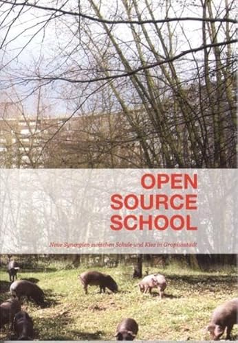 Stock image for Open Source School for sale by Revaluation Books