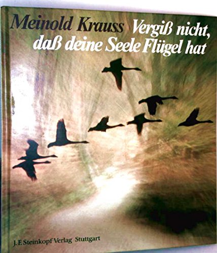 Vergiss nicht, dass deine Seele Flügel hat : Texte von Meinold Krauss zu Bildern von Ernst Kirschner