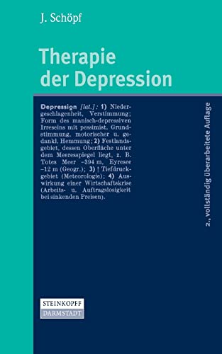 9783798515925: Therapie der Depression