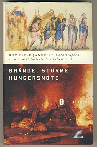 9783799501095: Brnde, Strme, Hungersnte: Katastrophen in der mittelalterlichen Lebenswelt