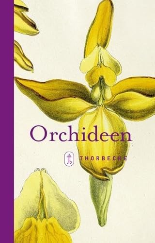 Beispielbild fr Orchideen zum Verkauf von medimops