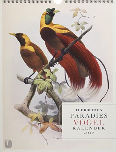 Beispielbild fr Thorbeckes Paradiesvogel Kalender 2019 zum Verkauf von Reuseabook