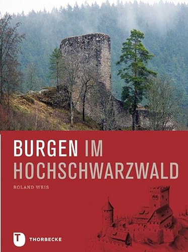 9783799513685: Burgen im Hochschwarzwald