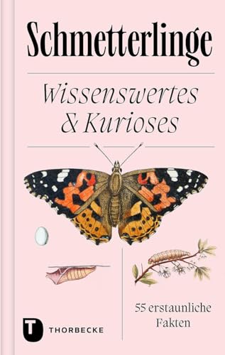 Stock image for Schmetterlinge: Wissenswertes & Kurioses ? 55 erstaunliche Fakten for sale by medimops