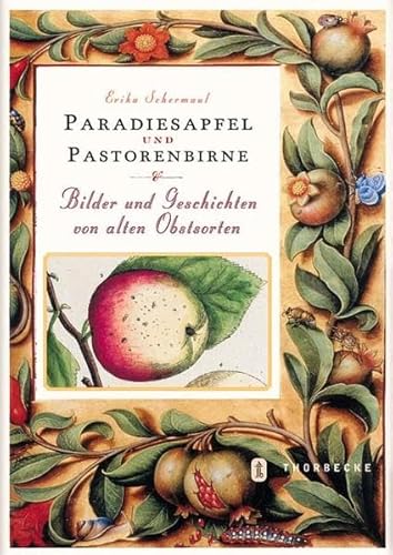 Beispielbild fr Paradiesapfel und Pastorenbirne: Bilder und Geschichten von alten Obstsorten zum Verkauf von medimops