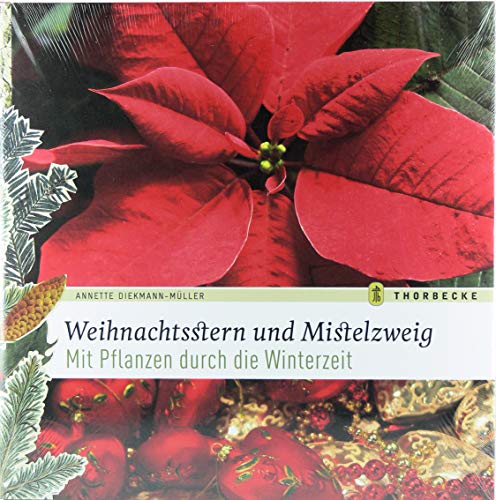 Stock image for Weihnachtsstern und Mistelzweig: Mit Pflanzen durch die Winterzeit for sale by medimops