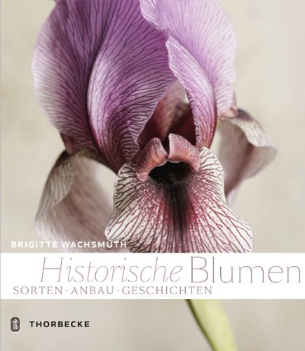 Beispielbild fr Historische Blumen: Sorten, Anbau, Geschichten zum Verkauf von medimops