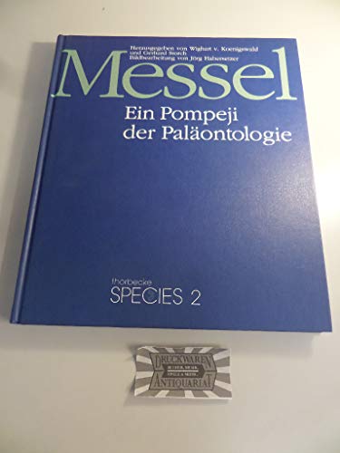 Messel Ein Pompeji der Paläontologie