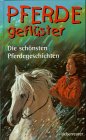 Stock image for Pferdegeflster: Die schnsten Pferdegeschichten for sale by Gabis Bcherlager