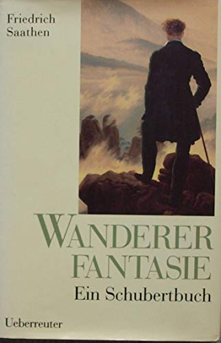Stock image for Wandererfantasie - Ein Schubertbuch for sale by PRIMOBUCH