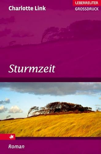 9783800092123: Sturmzeit Roman. Ueberreuter Grossdruck