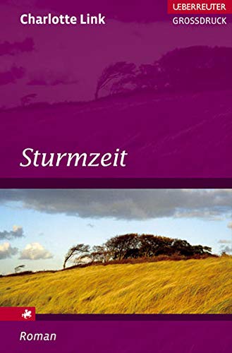 Stock image for Sturmzeit. Grodruck for sale by medimops