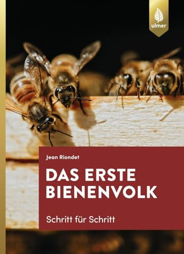 Beispielbild fr Das erste Bienenvolk - Schritt fr Schritt -Language: german zum Verkauf von GreatBookPrices