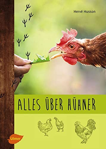 Stock image for Alles ber Hhner: Artgerechte Hobbyhaltung, Zucht und die passenden Rassen fr den Garten for sale by medimops