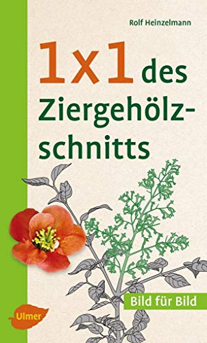 Stock image for 1 x 1 des Ziergehlzschnitts -Language: german for sale by GreatBookPrices