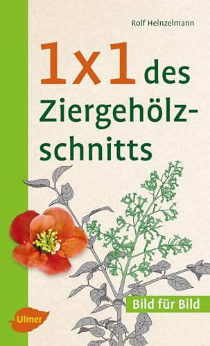 Stock image for 1 x 1 des Ziergehlzschnitts -Language: german for sale by GreatBookPrices