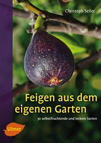 Imagen de archivo de Feigen aus dem eigenen Garten: 30 selbstfruchtende und leckere Sorten a la venta por Book Deals