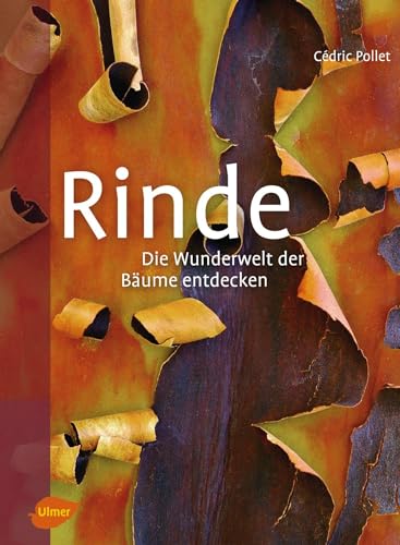 Stock image for Rinde: Die Wunderwelt der Bume entdecken for sale by medimops