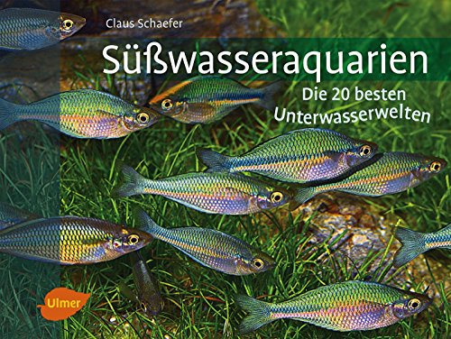 Beispielbild fr Swasseraquarien: Die 20 besten Unterwasserwelten zum Verkauf von Ammareal