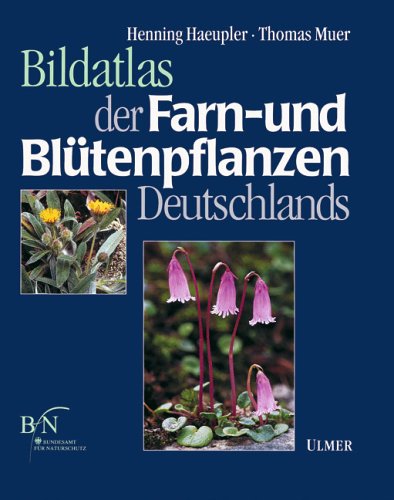 Beispielbild fr Bildatlas der Farn- und Bltenpflanzen Deutschlands zum Verkauf von medimops