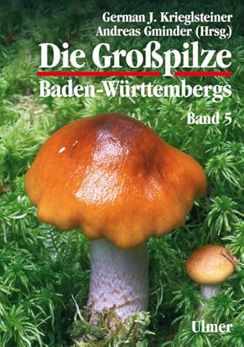 Die Großpilze Baden-Württembergs. Band 5: Ständerpilze: Blätterpilze III (Grundlagenwerke)