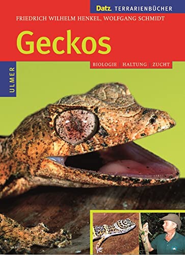 9783800138548: Geckos: Biologie, Haltung und Zucht