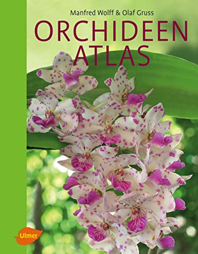 9783800138708: Orchideenatlas