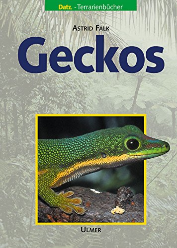 Beispielbild fr Geckos zum Verkauf von medimops