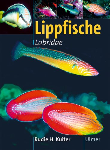 Lippfische - Labridae. 1290 Farbfotos. Übersetzung aus dem Englischen: Michael Kokoschka. - Kuiter, Rudie H.