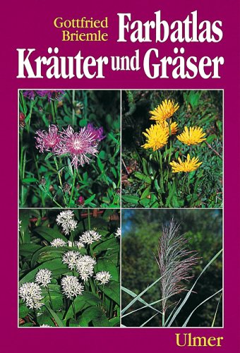 Farbatlas Kräuter und Gräser in Feld und Wald - Briemle, Gottfried