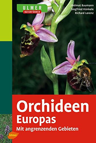 Stock image for Orchideen Europas -Language: german for sale by GreatBookPrices