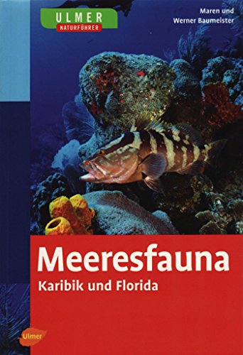 9783800141647: Meeresfauna Karibik und Florida