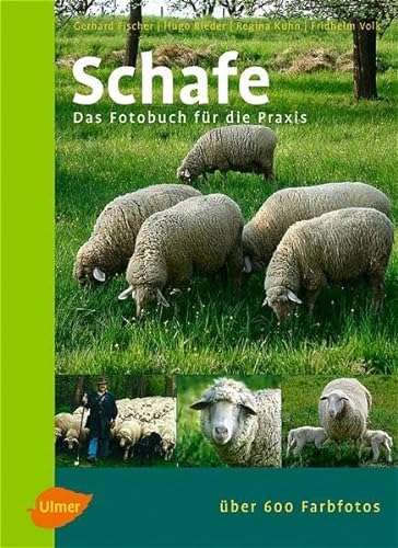 9783800142293: Schafe: Das Fotobuch fr die Praxis