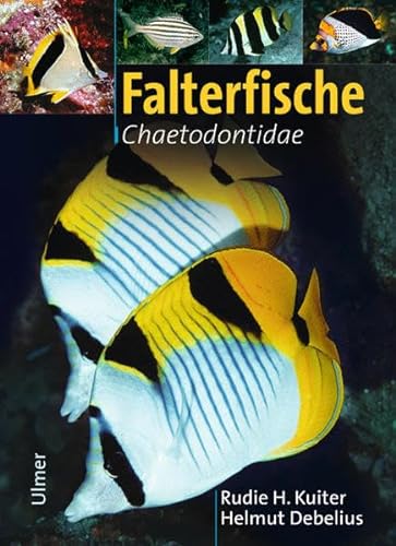 9783800142439: Falterfische: Chaetodontidae