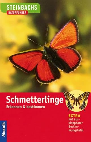 Beispielbild fr Steinbachs Naturfhrer. Schmetterlinge: Erkennen und bestimmen zum Verkauf von medimops