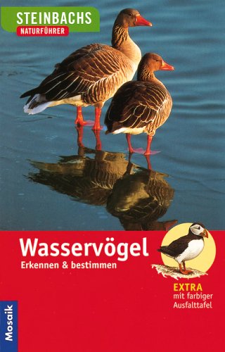 Steinbachs Naturführer. Wasservögel: Erkennen und Bestimmen - Anne Puchta