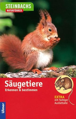 Stock image for Steinbachs Naturfhrer. Sugetiere for sale by medimops