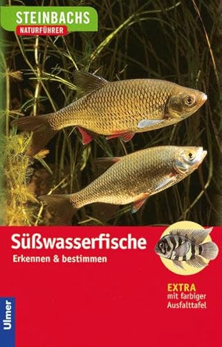 Steinbachs Naturführer. Süßwasserfische - Hartmann, Uwe