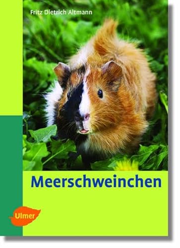 Beispielbild fr Meerschweinchen: 68 Farbfotos, 30 Zeichnungen zum Verkauf von medimops