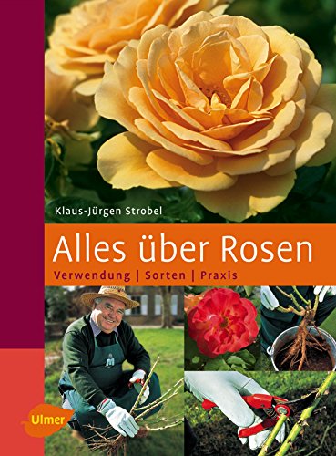 Beispielbild fr Alles ber Rosen: Verwendung, Sorten, Praxis zum Verkauf von medimops