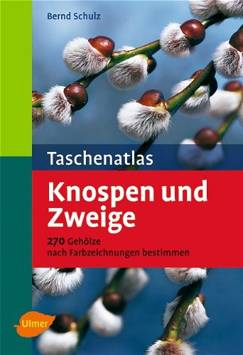 Taschenatlas Knospen und Zweige: 270 Gehölze nach Farbzeichnungen bestimmen - Bernd Schulz