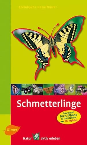 Stock image for Steinbachs Naturfhrer Schmetterlinge: entdecken und erkennen for sale by medimops