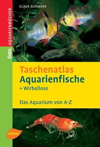 Taschenatlas Aquarienfische und Wirbellose : 255 Arten für das Aquarium. - Schaefer, Claus