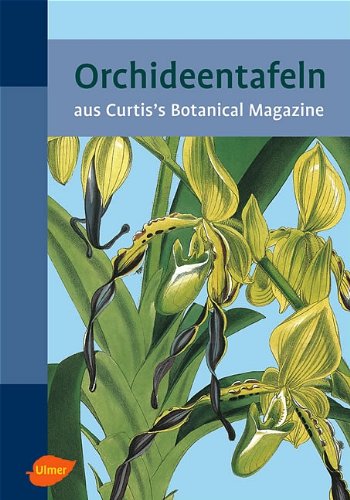 9783800147441: Orchideentafeln. Aus Curti's Botanical Magazine
