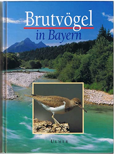 Imagen de archivo de Brutvgel in Bayern a la venta por medimops