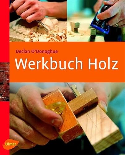 Imagen de archivo de Werkbuch Holz a la venta por medimops