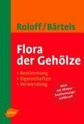 Flora der Gehölze - Andreas Roloff