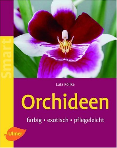 Beispielbild fr Orchideen: farbig - exotisch - pflegeleicht zum Verkauf von medimops