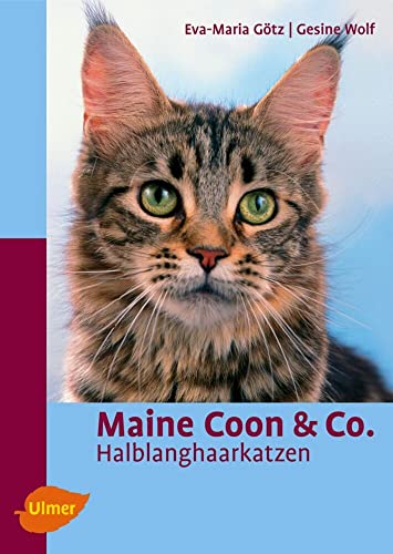 9783800148431: Maine Coon & Co: Halblanghaarkatzen